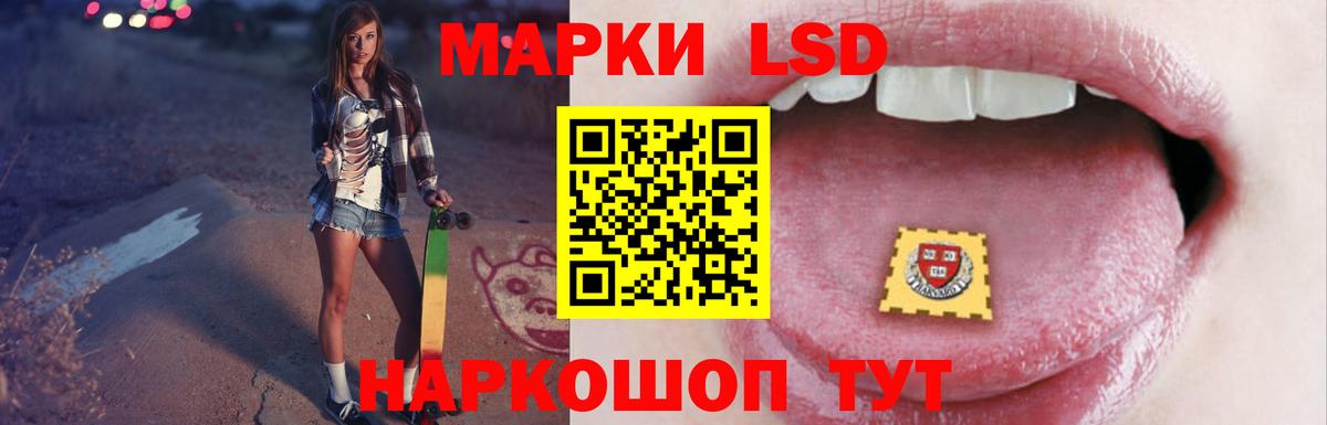 МЕФ Нижнекамск