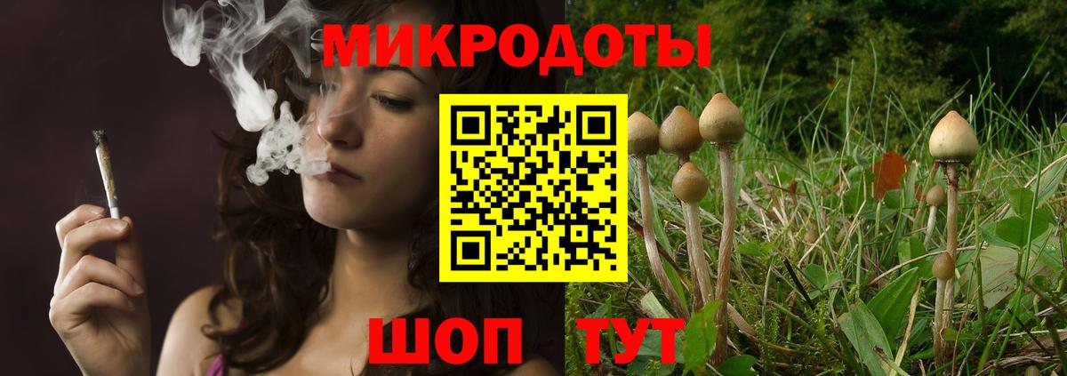Псилоцибиновые грибы Cubensis Нижнекамск